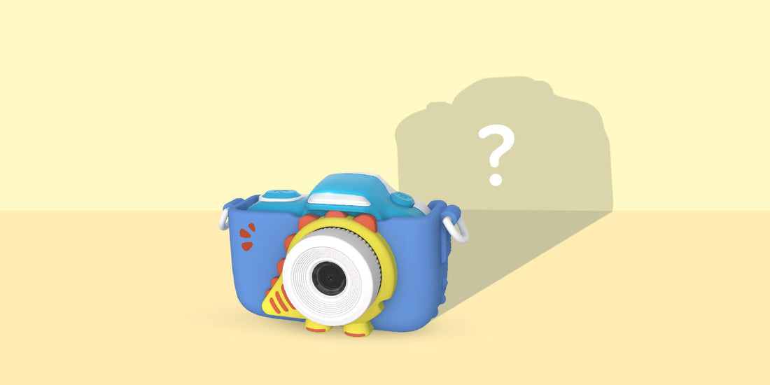 Discover the Truth About Low-Priced Cameras on Amazon and Walmart